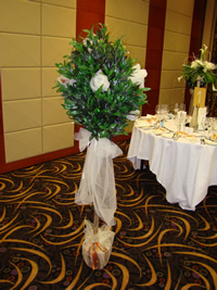 Topiary Tree Hire Grimsby